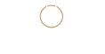 Pearl LImousine footer logo