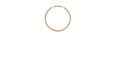 Pearl Limousine Footer Logo